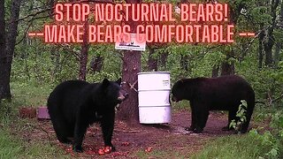 Bear hunting: Make bears comfortable.