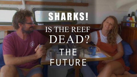 Q&A: Coral Bleaching, Sharks, how we get Power, Will We Leave OZ? - Your Questions Answered FAQ #1