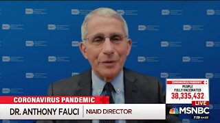 Fauci: It's Possible You Can Gather On July 4th