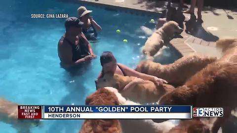 10th annual Golden Pool Party in Henderson