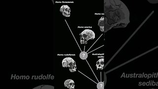 Tarih Öncesi Bulmaca: Neanderthallerin Hikayesini Çözme Girişimi #shorts