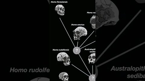 Tarih Öncesi Bulmaca: Neanderthallerin Hikayesini Çözme Girişimi #shorts