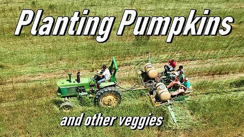 Planting Pumpkins and Transplanting Vegetables - Vlog 16