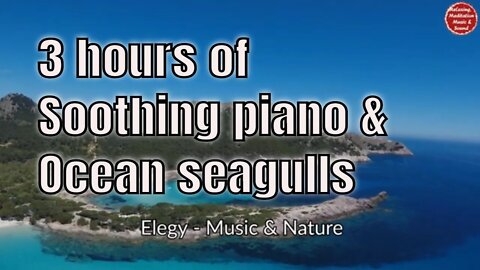 Soothing music with piano and ocean seagull sound for 3 hours, music for stress relief and healing