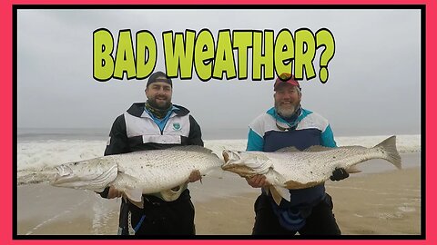 CUBERA SNAPPERS and African Croakers/Corvinas on lure in ANGOLA! Ep. 1
