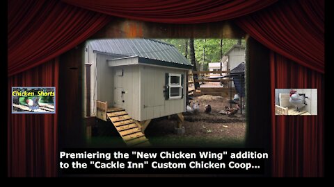 Premiering the New Chicken Wing Addition to The Cackle Inn - A custom chicken coop on our hobby farm