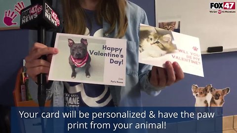 Make Valentines Day Special With the Capital Area Humane Society