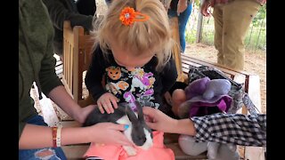 Carly holds pet Bunny for the 1st Time! Awwwwww....