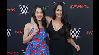 The Bella Twins want sons to pursue wrestling