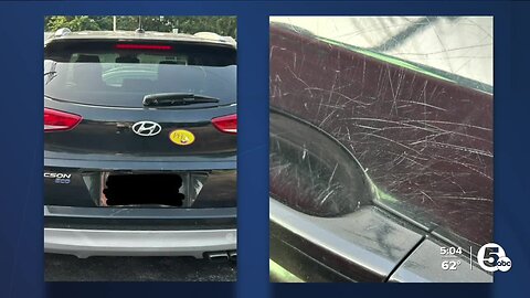 Non-profit staffer's car stolen from parking lot while inside caring for children at Ohio City crisis nursery