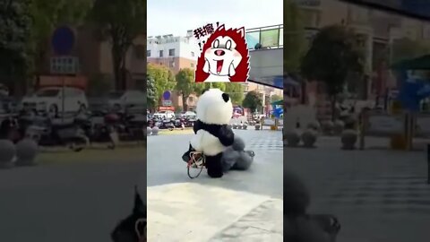 Funny cute panda and gorilla youtubeshorts viral around me shorts🐼 shorts comedy 31
