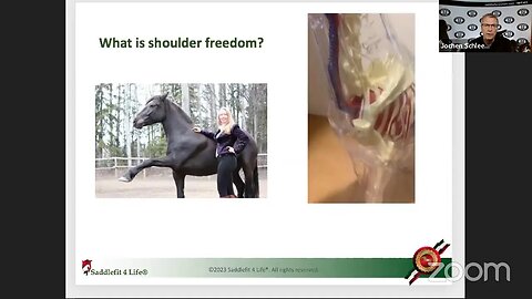 Saddle Talk With Jochen Schleese: Fitting Saddles To Horses with Kissing Spine