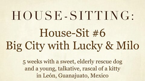 House-Sitting » House-Sit #5 » Big City with Lucky & Milo » León, Guanajuato, Mexico