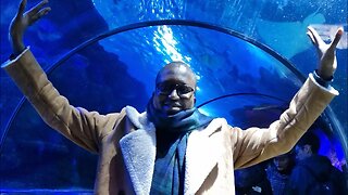 Join me as I explore the fascinating aquatic world of Sealife in London.