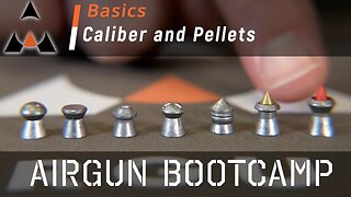 Airgun Pellet Calibers and Types - Airgun Bootcamp