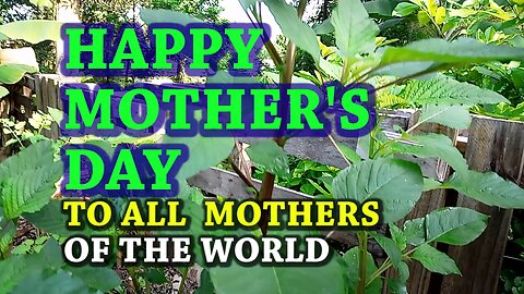 HAPPIEST MOTHERS DAY TO ALL THE MOTHERS OF THE WORLD