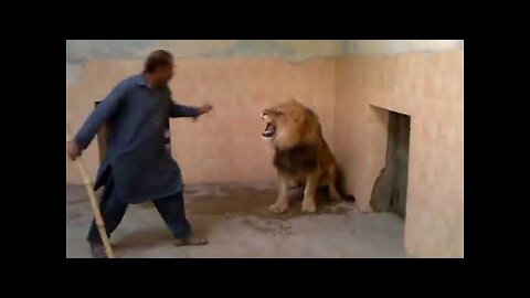 Man Fights With Lion