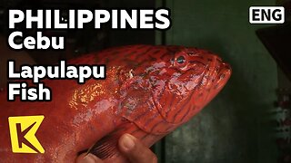 (FRESH MARKET CATCH) PHILIPPINES GRILLED LAPU LAPU FISH & FRIED BANANA