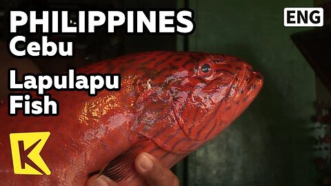 (FRESH MARKET CATCH) PHILIPPINES GRILLED LAPU LAPU FISH & FRIED BANANA