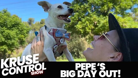 Pepe's day out!!