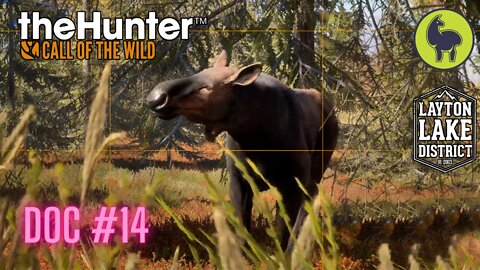 The Hunter: Call of the Wild, Doc #14 Layton Lakes (PS5 4K)