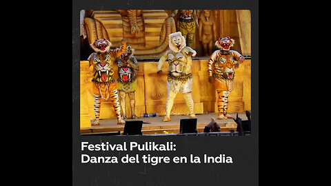 Festival Pulikali: Los tigres danzan en las calles de la India
