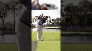 Freddie Couples Iconic Hole-In-3 | Golf Essentials #golf #golfessentials #shorts #short