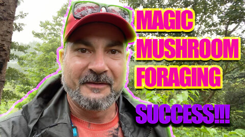 MAGIC MUSHROOM HUNTING IN THE MOUNTAINS OF COSTA RICA