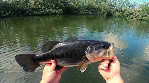 |4K| Quick Trip To My Secret Bass Pond |FISHING NEC DIVINOS|