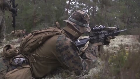 Marines Conduct Immediate Action Drills - Exercise Archipelago Endeavor 2021