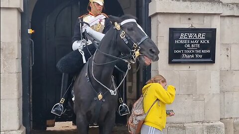 He won't hurt you. Is he aggressive? Can we get a photo yer from far away 😆 🤣 😂 #horseguardsparade