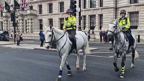 mind your backs #horseguardsparade