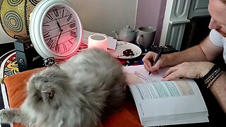 STUDY with me and my cat Day:9 |CAT PURRS| and lofi music