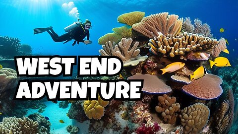 Exploring the Depths: Diving Blackrock Reef in Roatan's West End | Underwater Paradise!