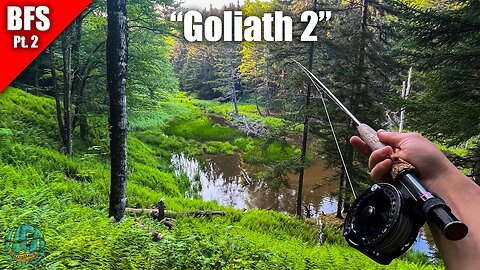 Fly Fishing the Wilderness (NEW PB BROOK TROUT) || Big Fish Stories Pt. 2 "Goliath 2"