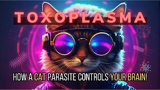Toxoplasma: How a Cat Parasite Controls YOUR Brain!