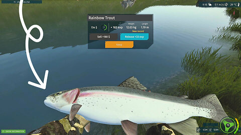 Ultimate fishing simulator, some catches on Betty Lake, for larger fish, I need to buy a fishing net