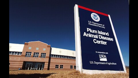 Did The Military Create Lyme Disease At Plum Island?