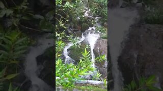 Nice waterfall in Hong Kong's Victoria Peak hiking trail.