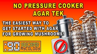 NO PRESSURE COOKER Agar Prep for Mushroom Cultivation