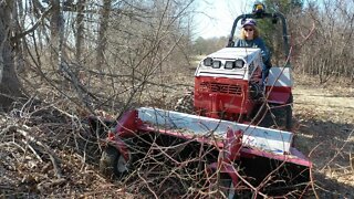 Tractor Time with Christy! Clearing Brush from Neighbor’s Yard