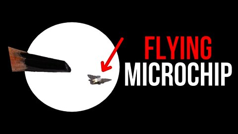 Flying Microchips to Be Used For Population Surveillance ?