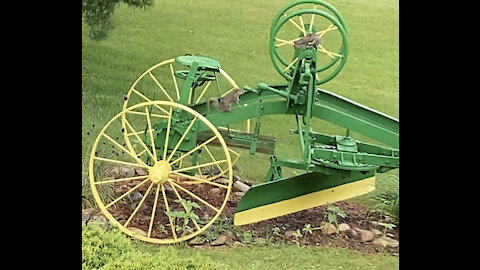 Gray Squirrels Playing On John Deere Horse Drawn Road Grader Implement 6.30.2021