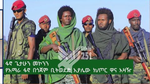 የአማራ ፋኖ በጎጃም ቢትወደድ አያሌው ክፍለጦር ዋና አዛዥ ከሆነው ፋኖ ጌታሁን መኮንን ጋር የተደረገ ቃለ - ምልልስ