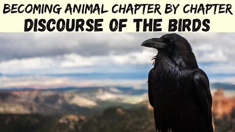 Discourse of the Birds - Becoming Animal - Spiritual Ecology Course