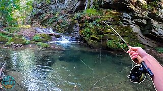 Fly Fishing for an ICE AGE RELIC!! (Trout Fishing & Conservation)