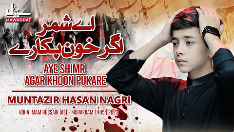 Muharram Nohay | Aye Shimr Agar Khoon pukare | Muntazir Hasan Nagri | یا شمر اذا تکلم الدم