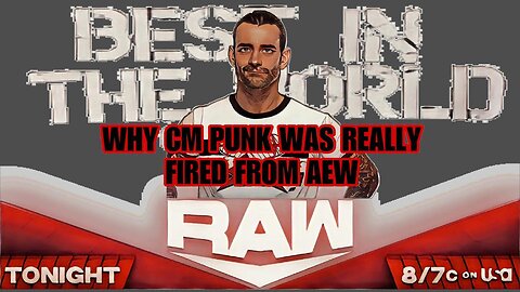 The Raw Untold Truth To Why CM Punk Was Fired From AEW