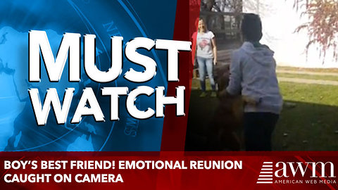 Boy’s best friend! Emotional reunion caught on camera