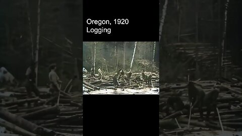 Logging in Oregon 1920 [RESTORED FOOTAGE] AI Enhanced, 60fps